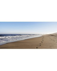 guia CASTELROCK todas las playas de Mallorca