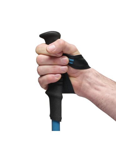 2 BASTONS BLACK DIAMOND DISTANCE CARBON FLZ